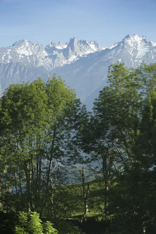 Apartamentos La Corona - Cabrales Карренья-де-Кабралес Экстерьер фото